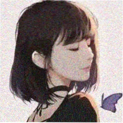 路过的影迷